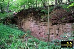 Steinbruch am Schlossberg bei Bornstedt, Sachsen-Anhalt, (D) (1) 28. Juni 2015 (Unteres Quarzitkonglomerat - Hornberg-Formation).JPG